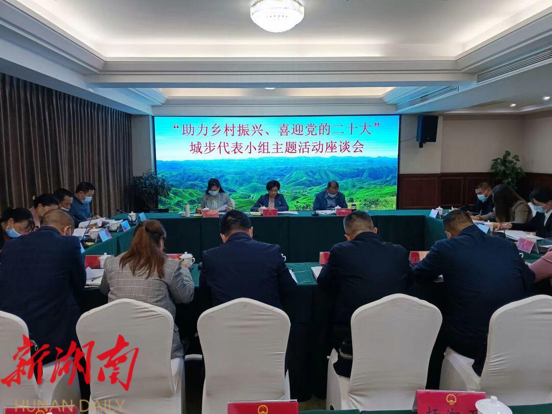 罗玉梅在城步参加市人大代表小组主题活动_邵阳头条网